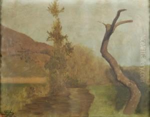 Albero Spoglio by Luigi Steffani