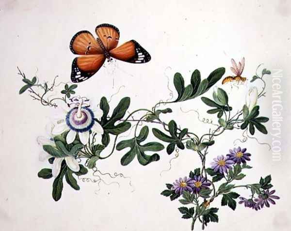 Passion Flower and Butterfly - view 1