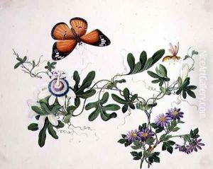 Passion Flower and Butterfly by Anonymous Artist