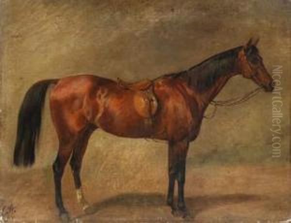 Picture Of A Horse - view 1