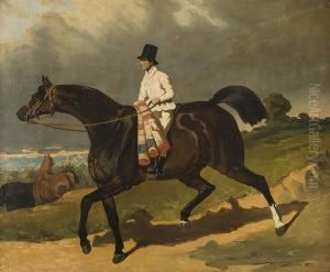 Mlody Jezdziec, Ok. Pol. Xix W. by Carl Steffeck