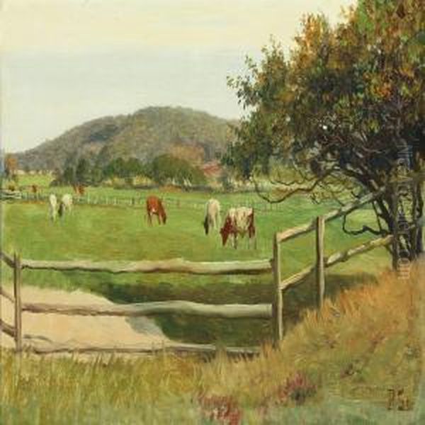Cows In The Field - view 1