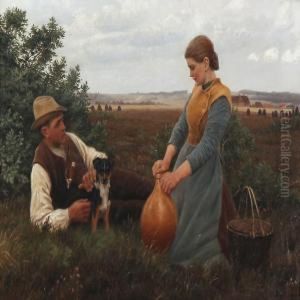Lunch Break In Fields