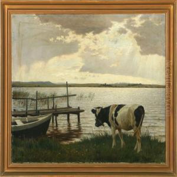 Grazing Cow At A Fiord - view 1