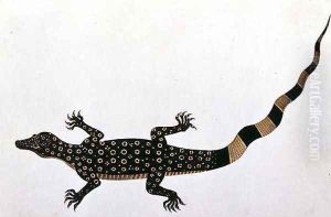 Guana, Bie awa Tana, from 'Drawings of Animals, Insects and Reptiles from Malacca', c.1805-18