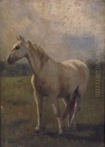 Study Of A White Horse by Cairnes Harry Stein