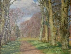 Sonnendurchflutete Laubbaumallee. Unten Rechts Signiert E. Steinbach by Eduard Steinbach