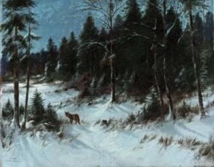 Fuchs Im Winterwald