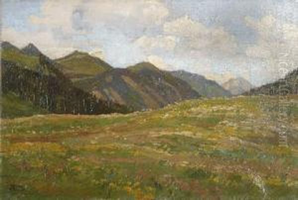 Alpiner Wiesengrund - view 1