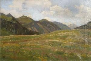 Alpiner Wiesengrund