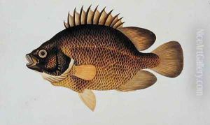 Eekan Te-cha Prie-o, from 'Drawings of Fishes from Malacca', c.1805-18
