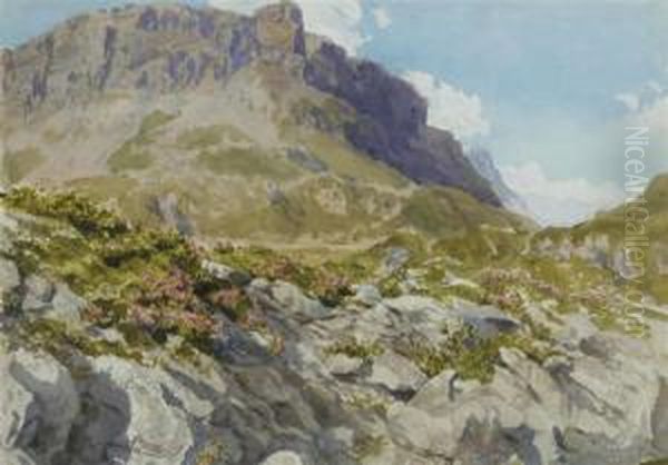 View Of An Alpine Landscape - view 1