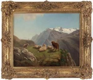Schafe Auf Der Hochalm by Franz II Steinfeld
