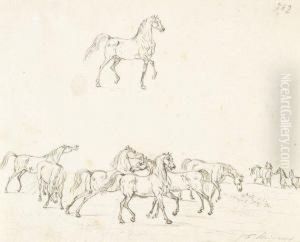 Pferdestudien by Johann Friedrich Steinkopf