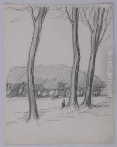 Landscape With Trees