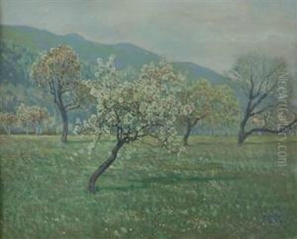 Fruhlingswiese Mit Bluhenden Obstbaumen - view 1