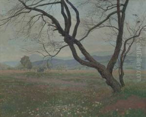 Bluhende Sommerwiese Mit Baum - view 1