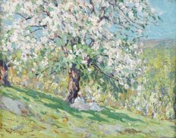 The Month Of May - view 1