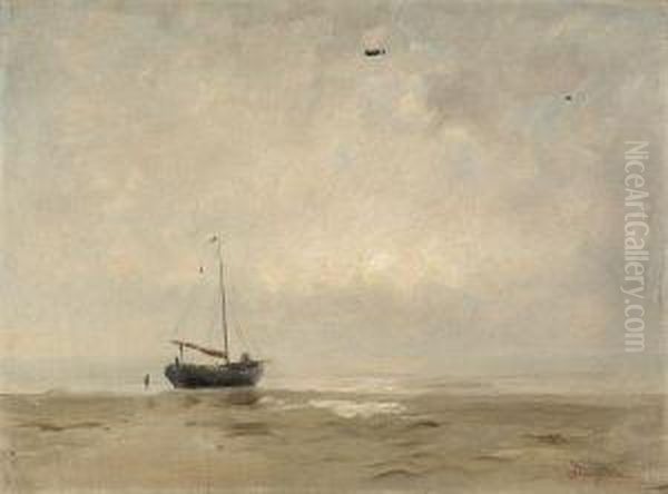 Marine - view 1