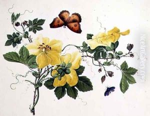 Flower Study and Butterfly by Anonymous Artist