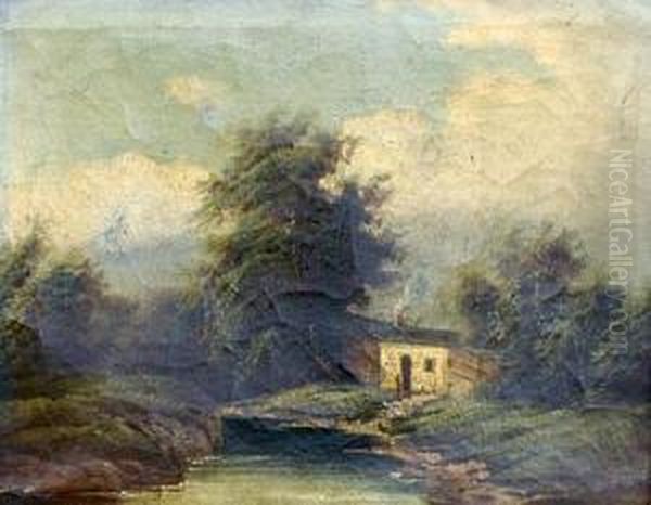 Landscape - view 1