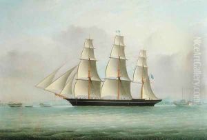 A Sea Witch Clipper by Anonymous Artist