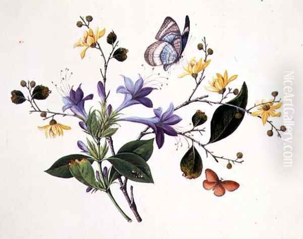 Flower Study and Insects - view 1