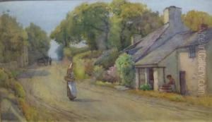 Country Lane & Rocky Coast