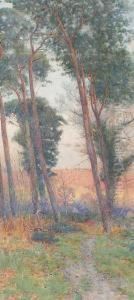 Pine Trees by Willie Stephenson