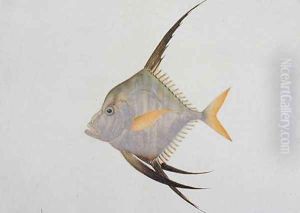 Eekan Madoe Madoe, from 'Drawings of Fishes from Malacca', c.1805-18