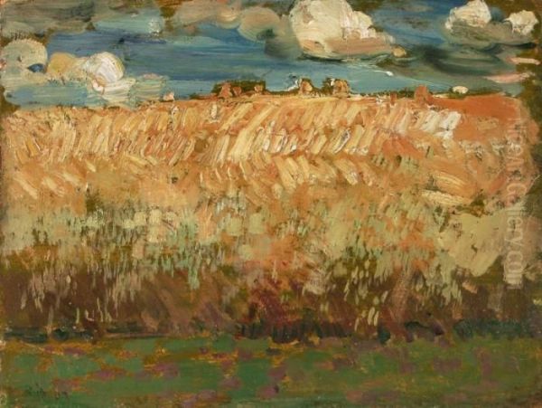 Landschaft Mitkornfeld - view 1