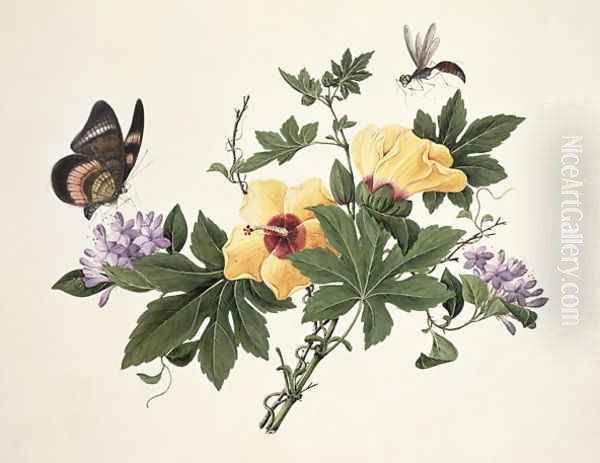 Hibiscus and Butterfly - view 1