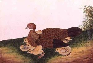 Jangle Hen with her chickens, from 'Drawings of Birds from Malacca', c.1805-18 by Anonymous Artist