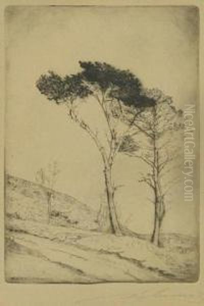 Trees On Sloping Ground - view 1