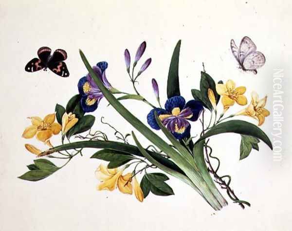 Blue Iris and Insects - view 1