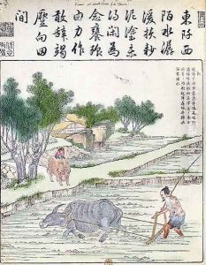 Rice cultivation in China (2) by Anonymous Artist
