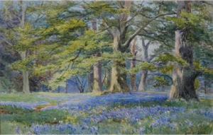 The Bluebell Wood by Albert Stevens
