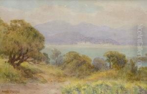 "near Cannes" by Albert Stevens