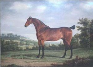 Champion Racehorse