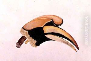 Anatomical study of a bird's head, from 'Drawings of Birds from Malacca', c.1805-18 by Anonymous Artist