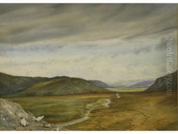 Extensive Scottish Landscapewith Game Birds - view 1