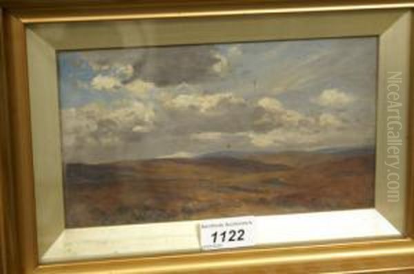 Extensive Moorland Landscape - view 1