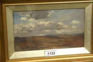 Extensive Moorland Landscape by Jan Stevens