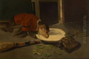 Le Singe Et La Tortue