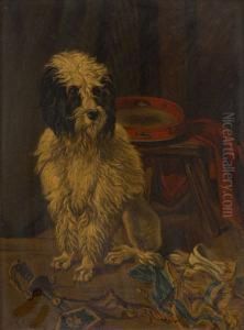 Le Chien Du Saltimbanque