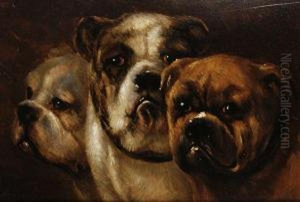 Study Of Three Bulldogs - view 1