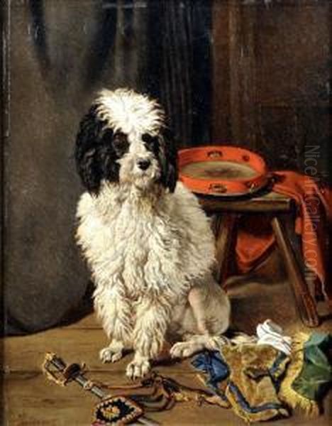 [chien Assis] - view 1