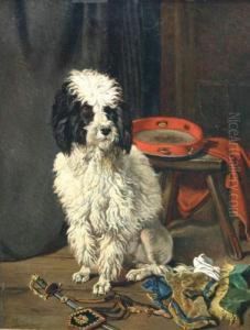 Caniche Au Tambourin. by Joseph Edouard Stevens