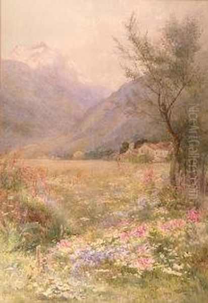 An Alpine Meadow - view 1