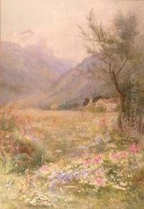 An Alpine Meadow
